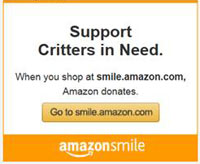 Smile. Amazon